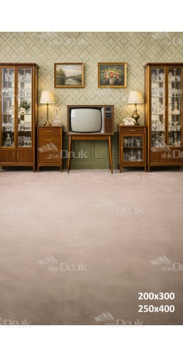 Tło fotograficzne „Salon retro z telewizorem i witrynami” | 3830